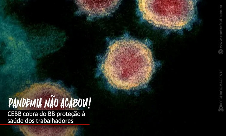 Capa da Notícia